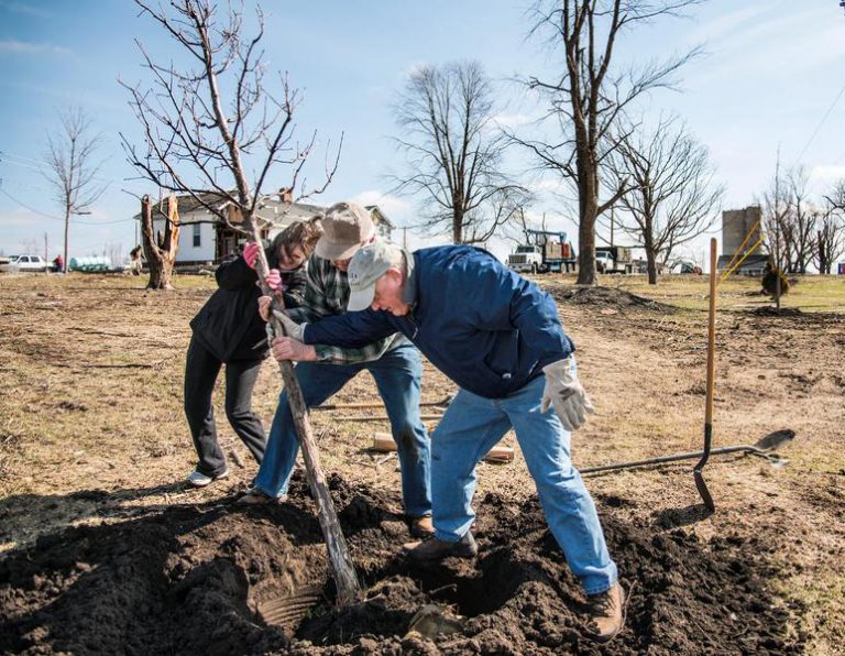 Gifford Tree Planting - The Atkins Group