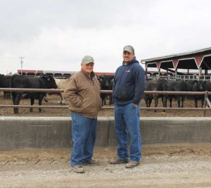 Grandfather passes on cattle know-how
